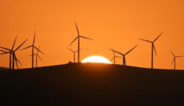 'Broken' nature laws fast-tracked but details up in air