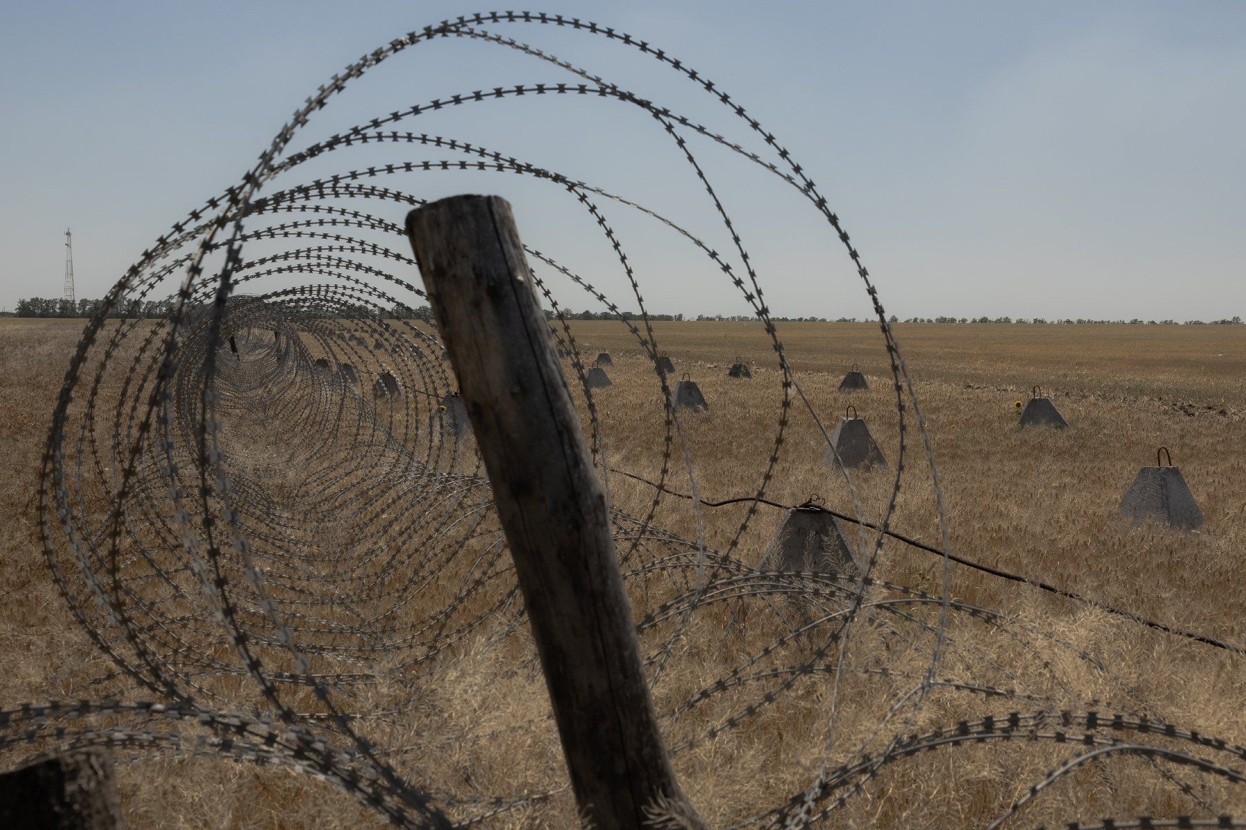 Des barbelés dans un champ dans la région de Dnipropetrovsk, le 9 juillet 2025, en Ukraine