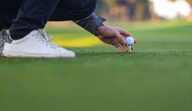 Tender opening for Madeira golf course