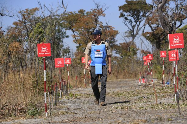 Prince Harry in Angola yesterday walking through a minefield