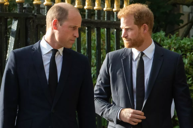 Prince William and Prince Harry