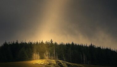 The Beaty of Wales