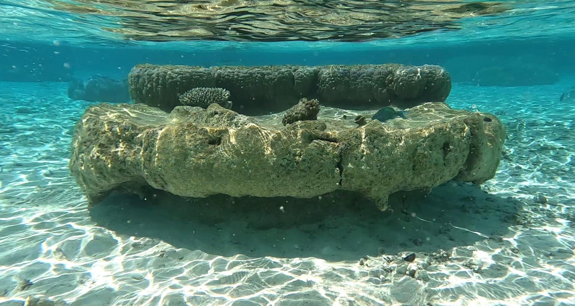 Coral skeletons show sea-level rise began accelerating earlier than previously thought