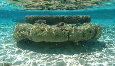 Coral skeletons show sea-level rise began accelerating earlier than previously thought
