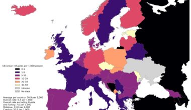 35,6 na 1000