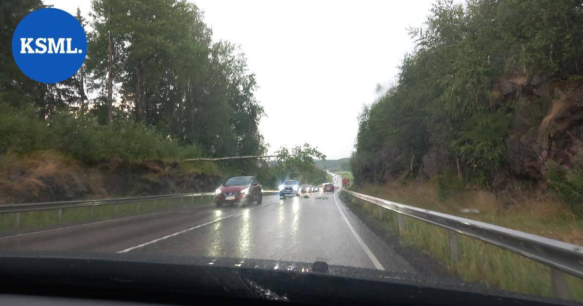 Myrskystä viitisenkymmentä tehtävää pelastuslaitokselle Keski-Suomessa – omaisuusvahinkoja useammassa paikassa | Keski-Suomi