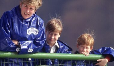 The real reason Prince Harry and Prince William won't inherit Princess Diana's childhood home and the little-known family member who is first in line to the estate