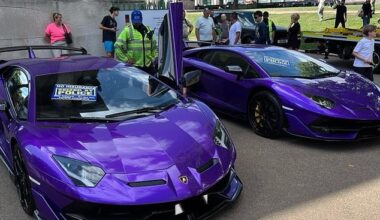 In a weekend-long operation, led by the Met Police and supported by the Motor Insurers' Bureau (MIB), up to 72 vehicles with a collective value of almost £7million were seized across the capital. These included a pair of purple Lamborghinis (pictured), Ferraris and Porsches