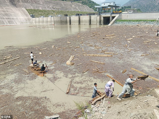 People collect logs from Neelum-Jhelum dam after recent floods, in Neelum valley, Pakistani administered Kashmir, 16 August 2025