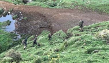 The latest plea comes almost a year after pig shooters filmed Tom Phillips and his children in bushland west of Marokopa last October (above) walking in single file