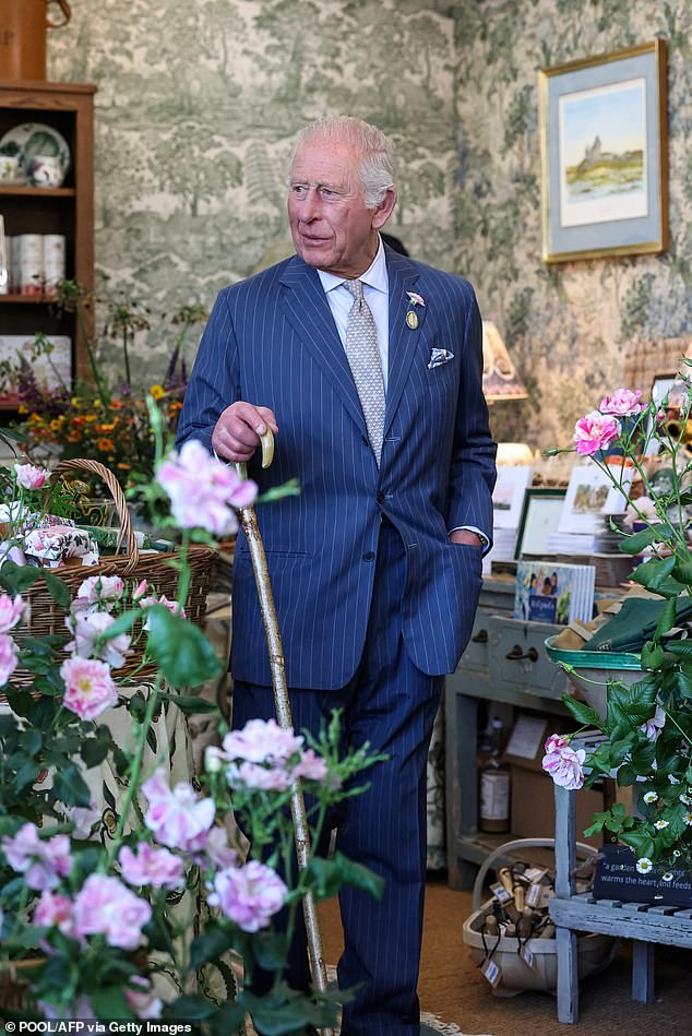 But in the age of the airliner, no such privacy is guaranteed, and the grand vista can be relished by all plane passengers. And it is those viewers King Charles (pictured, at the RHS Chelsea Flower Show in May) has in mind