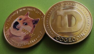 Dogecoin Rallies 12% as Crypto Prices Rebound: Can DOGE Hit $3 in August, or Will MAXI Outperform It?