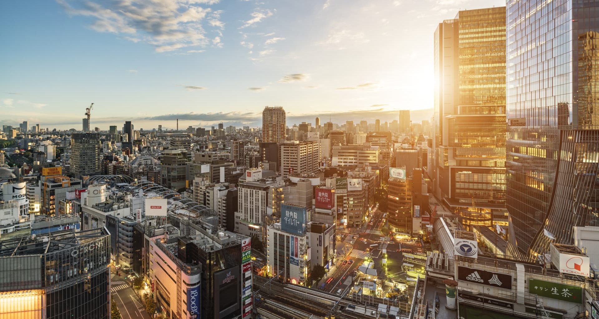 Japan's July exports drop by 2.6%, steepest plunge in more than four years