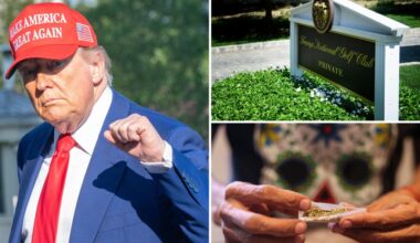Trump eyes reclassifying marijuana as less dangerous drug: report