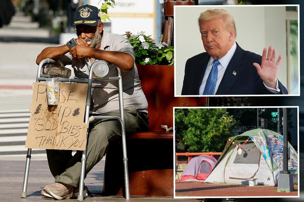 Trump vows to push homeless people out of DC and get 'our Capital BACK'