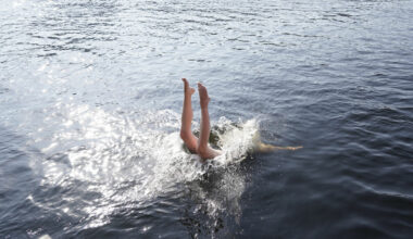 Manetrekord i Norge: – Ekstremt smertefullt
