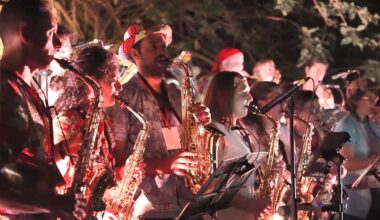 Windcraft Music Fest: The celebration of wind instruments in Cyprus offered a musical feast