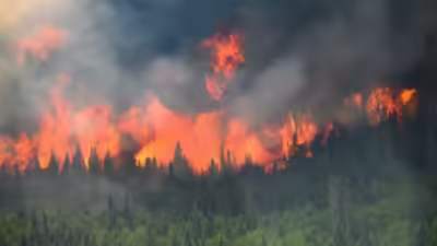 Man killed in Spain wildfire as heat wave rages in Europe