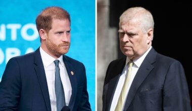 Prince Harry launches himself in new legal battle with Prince Andrew