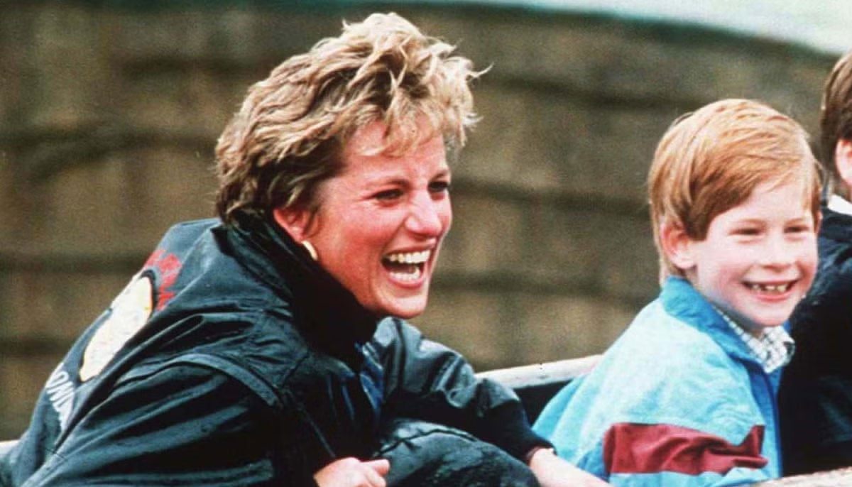 Prince Harry’s feelings on Diana’s famous dinner