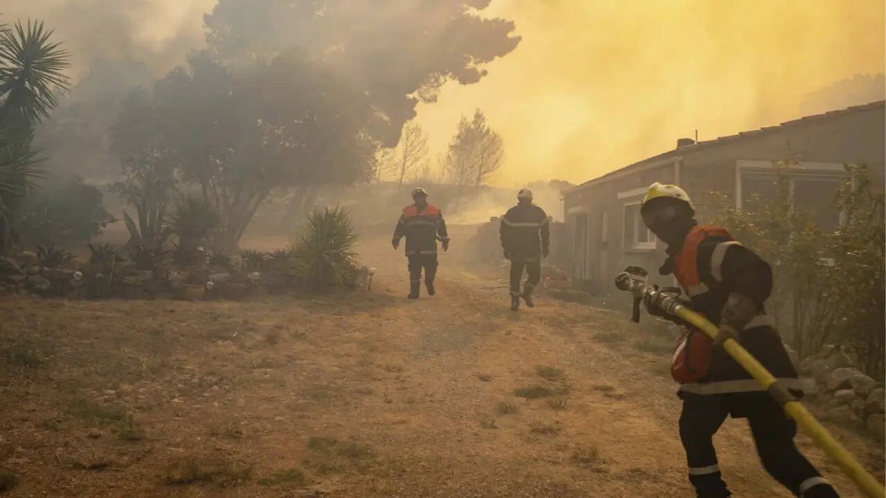 France Wildfire France Wildfire