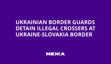 Ukrainian Border Guards Detain Illegal Crossers at Ukraine-Slovakia Border