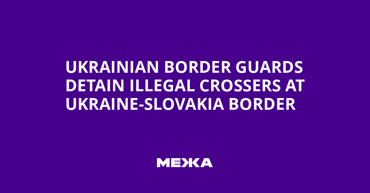 Ukrainian Border Guards Detain Illegal Crossers at Ukraine-Slovakia Border