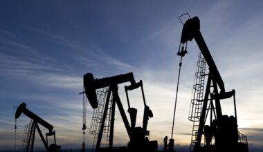 Discovered, recoverable oil resources increased by 5 billion barrels despite production growth in 2024