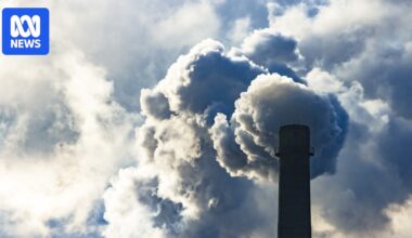 Environment groups, researchers say NT EPA policy change is a worrying 'WA blueprint'
