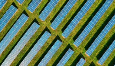 Solarenergie erstmals größte Stromquelle der EU | oekonews.at
