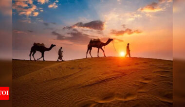 Kuwait’s land is dying: Why desertification is Kuwait’s next big environmental battle | World News