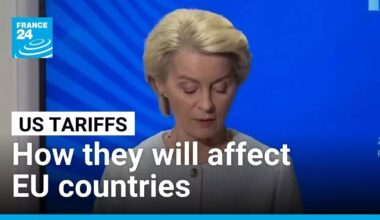 Impact of US tariffs varies across European Union • FRANCE 24 English