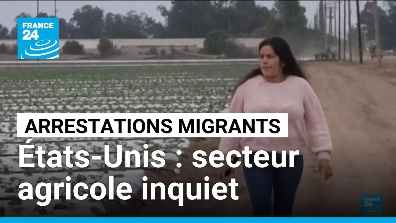 États-Unis : inquiétude du secteur agricole face aux arrestations de migrants • FRANCE 24