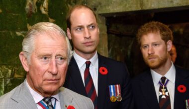 Prince Harry and Prince William Feud: A 'Different Beast' Explained