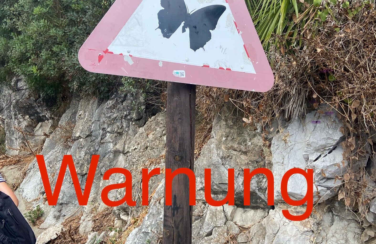 Guckt was ich gefunden habe