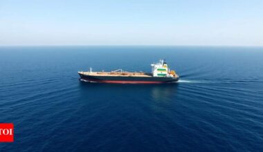 Russia-backed Nayara Energy looks at India’s state-run oil companies to offload petrol, diesel exports | India Business News
