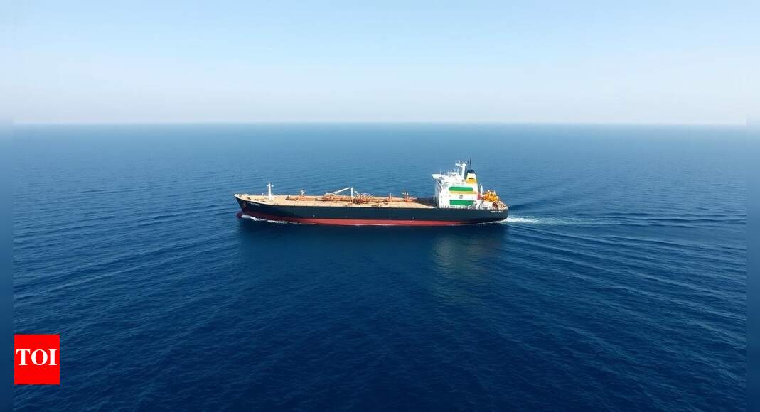 Russia-backed Nayara Energy looks at India’s state-run oil companies to offload petrol, diesel exports | India Business News