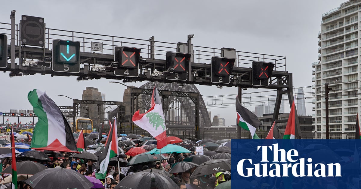 View from train shows scale of Sydney Harbour Bridge protest – video | Sydney