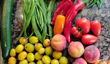 Obst und Gemüse