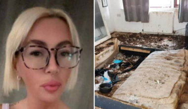 Stacey lämnade åtta hundar
i en lägenhet – sju dog