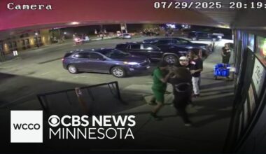 Video shows teen restaurant worker trained in jiu-jitsu fight off attacker