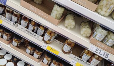 Are pickled onions any good?