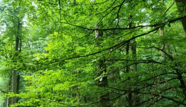 Im Spessart bei Rothenbuch spazieren