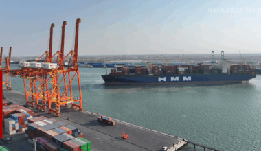 Basrah crude prices fall despite global oil market gains