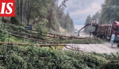 Hurja myräkkä kaatoi kymmeniä puita – tie poikki Tampereella