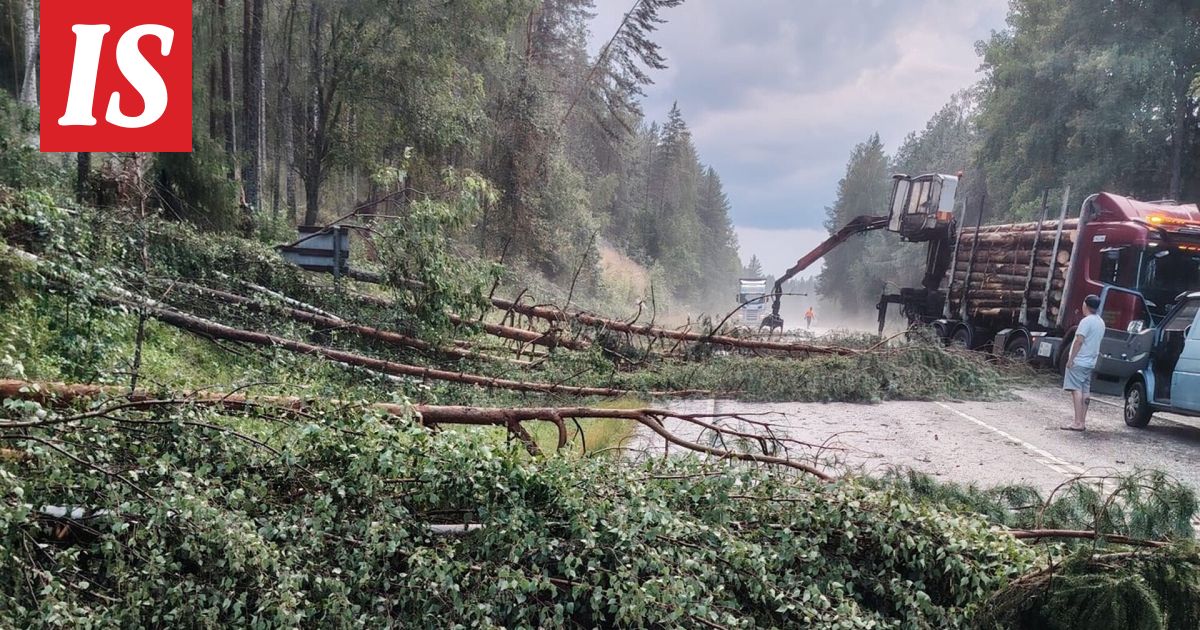 Hurja myräkkä kaatoi kymmeniä puita – tie poikki Tampereella