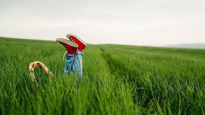Der Sommer hat es in diesem Jahr besonders darauf abgesehen, Verstecken zu spielen.