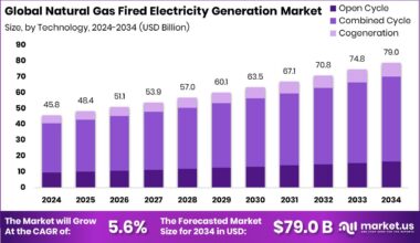Natural Gas Fired Electricity Generation Market Size