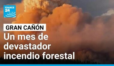 Un incendio forestal de enormes proporciones lleva un mes devastando el Gran Cañón