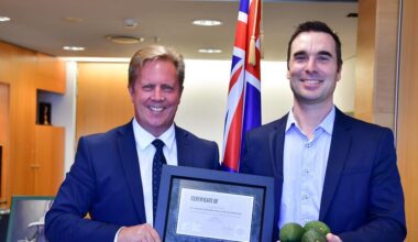 New Zealand avocado industry unites under FernMark | News